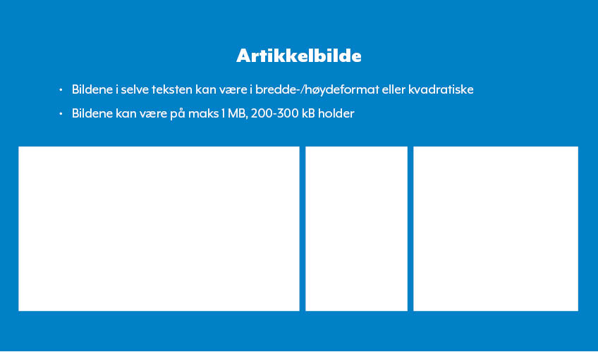 artikkelinfo_hovedbilde2