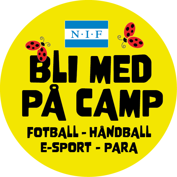 Sommercamper knapp