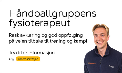 Fysioterapeut