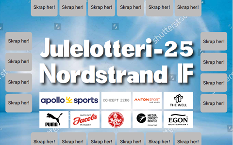 Ekstra aktivitetsavgift og julelotteri