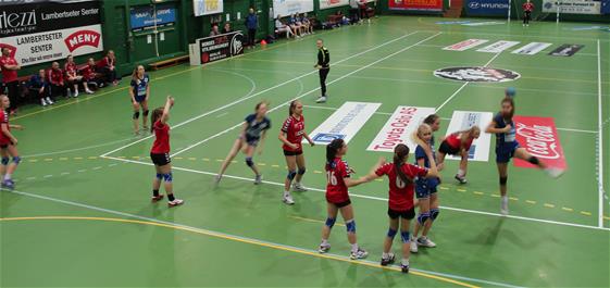 Kamp mot Nit/Hak
